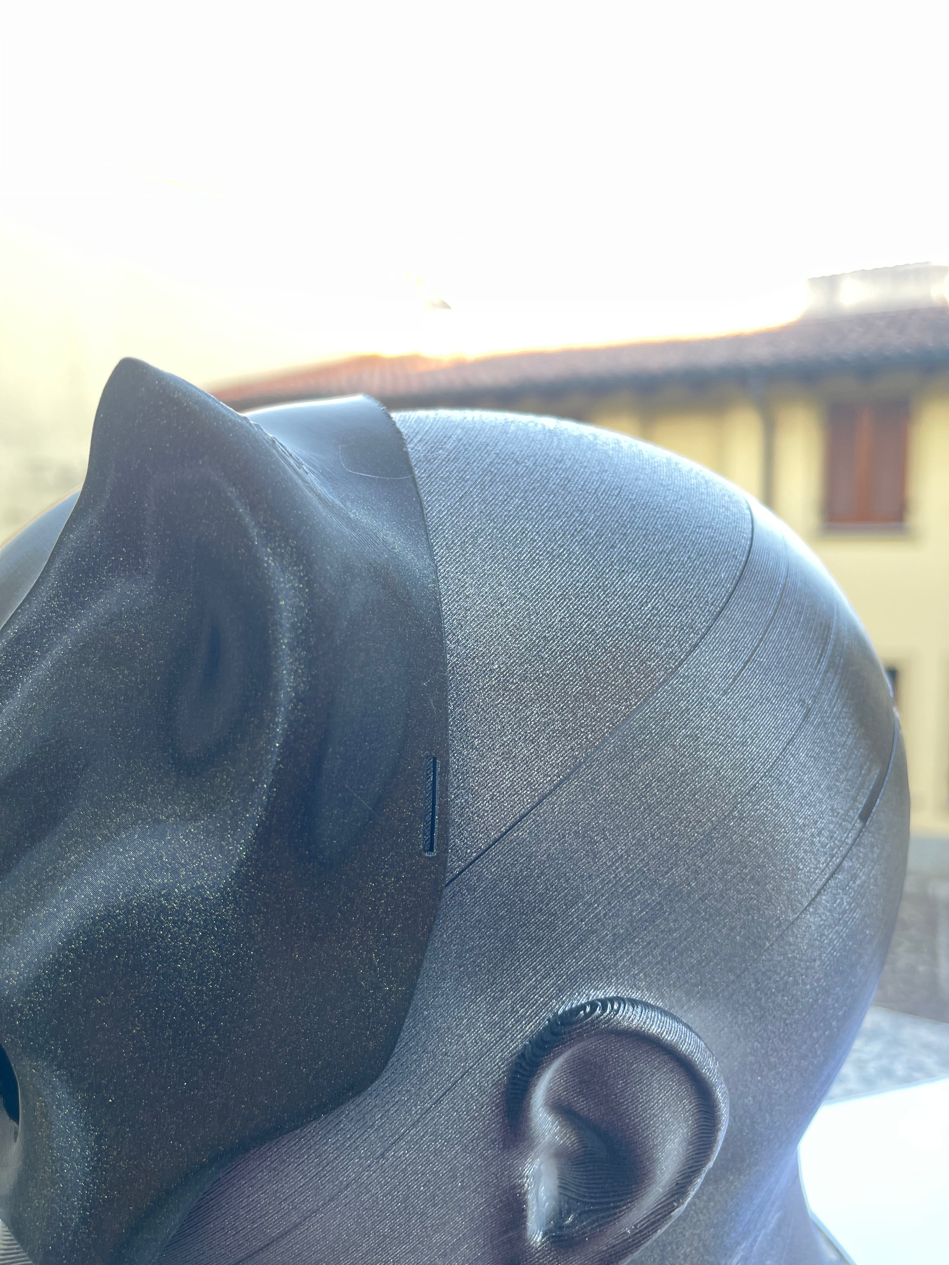 Maschera Catwoman