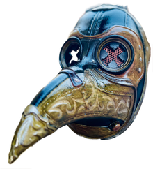 Plague Doctor Mask